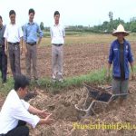 Đồng chí Nguyễn Công Châu kiểm tra tiến độ sản xuất vụ Đông tại các địa phương.